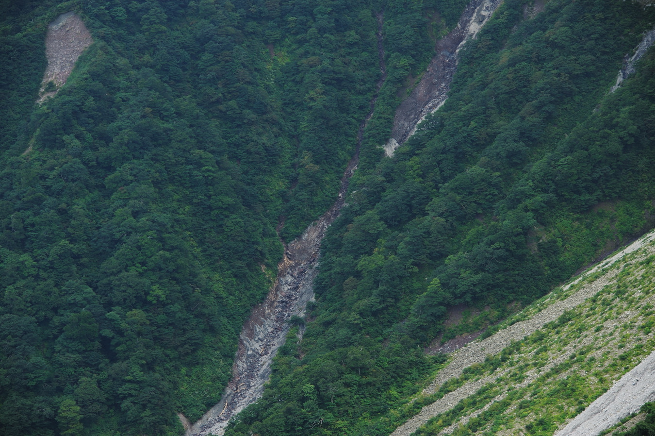 c0138991_23563474.jpg