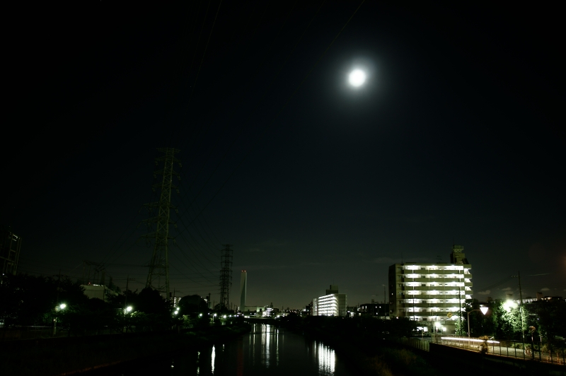 a0185693_6592490.jpg