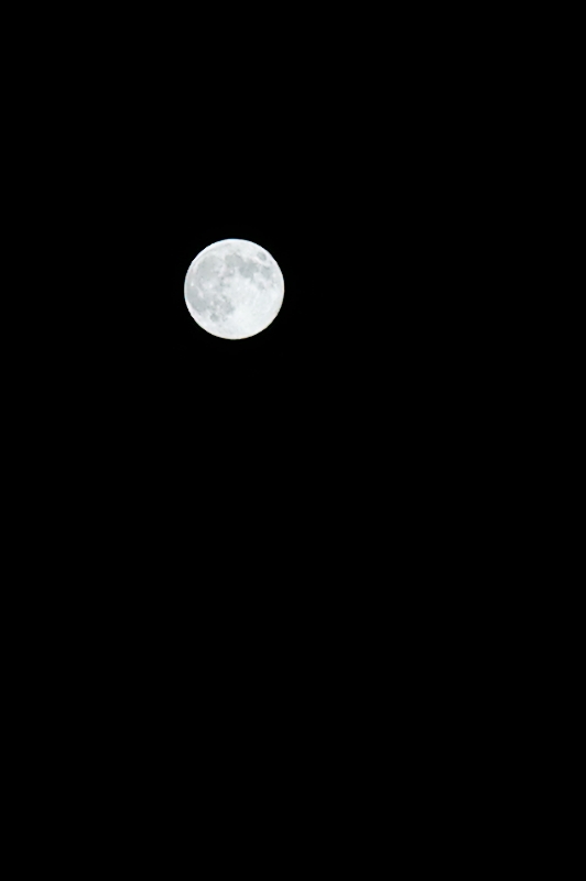 a0185693_659878.jpg
