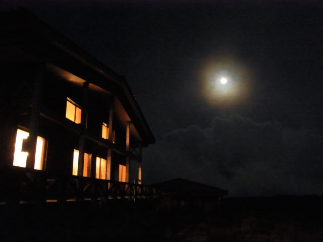 b0147093_21464640.jpg
