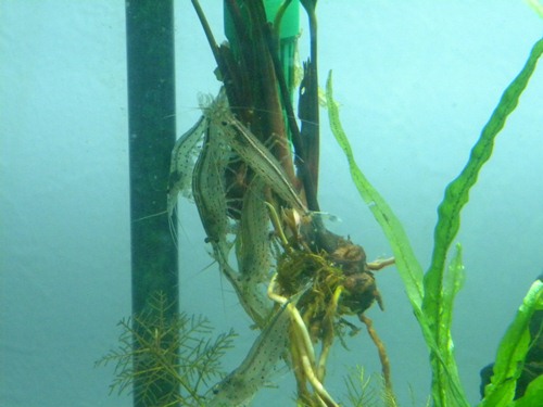 f0138093_22294443.jpg