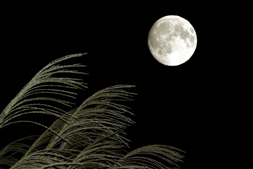 b0099994_165503.jpg