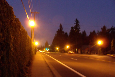 d0000995_1663044.jpg