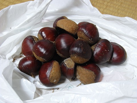 f0187402_2111577.jpg