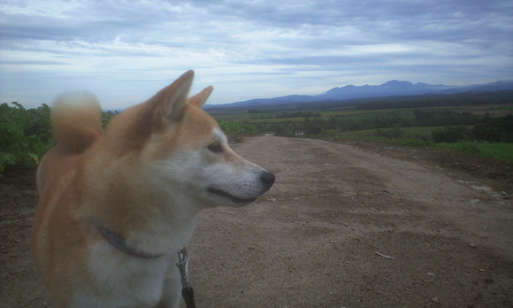 e0227023_0562728.jpg