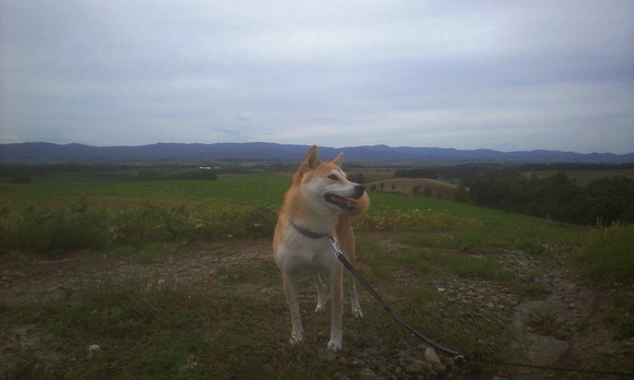e0227023_231136.jpg