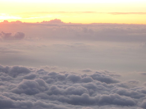 d0156625_3101311.jpg