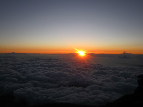 d0156625_3134568.jpg