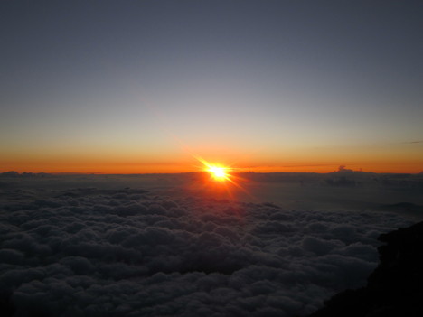 d0156625_3135993.jpg