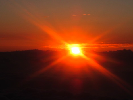 d0156625_3141110.jpg