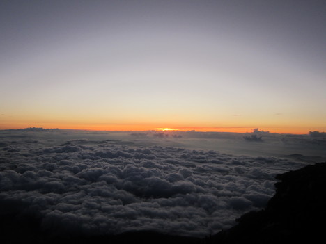 d0156625_372556.jpg