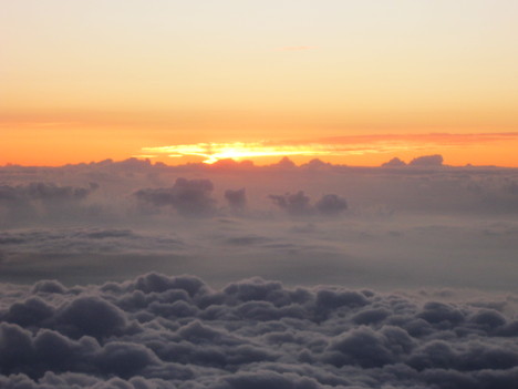 d0156625_38655.jpg