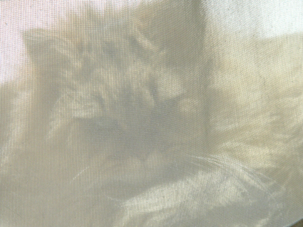 e0157129_1817893.jpg