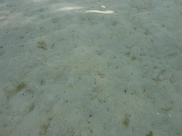 f0045530_1341241.jpg