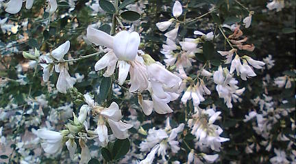 a0017634_23202040.jpg