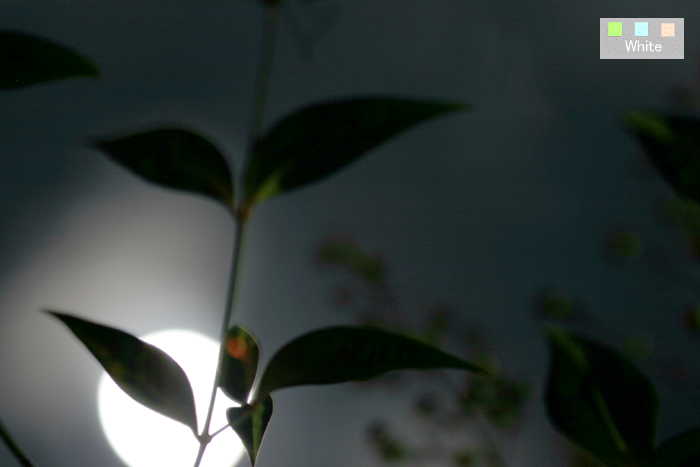 c0227134_126548.jpg