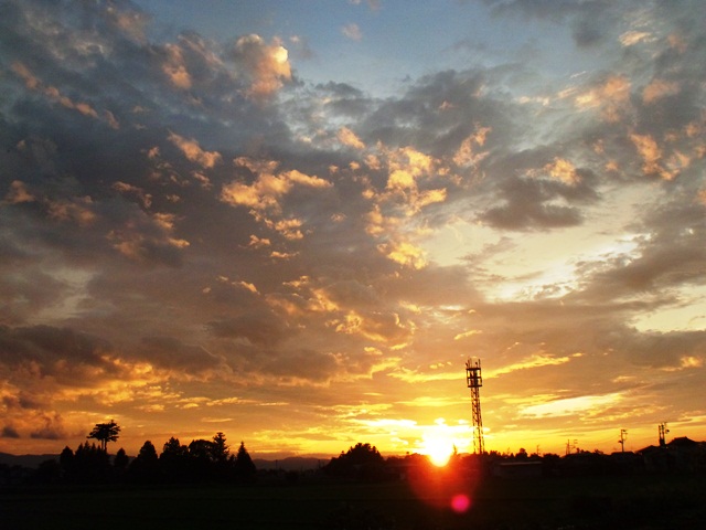 f0131535_23353377.jpg