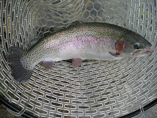 f0065341_15114214.jpg