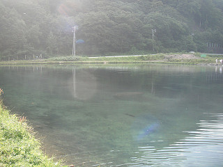 f0065341_1513113.jpg