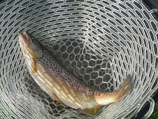f0065341_15132043.jpg