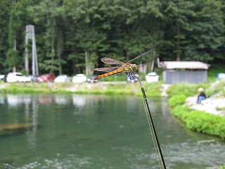 f0065341_15143266.jpg