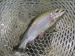f0065341_155869.jpg