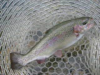 f0065341_1562553.jpg