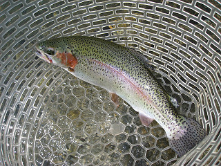 f0065341_156498.jpg