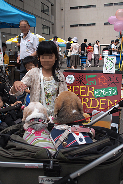 a0042044_235463.jpg