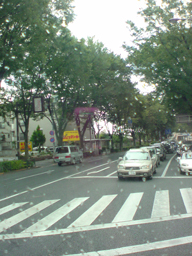 d0179044_8492025.jpg