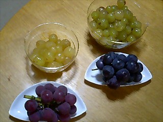 a0115346_224897.jpg
