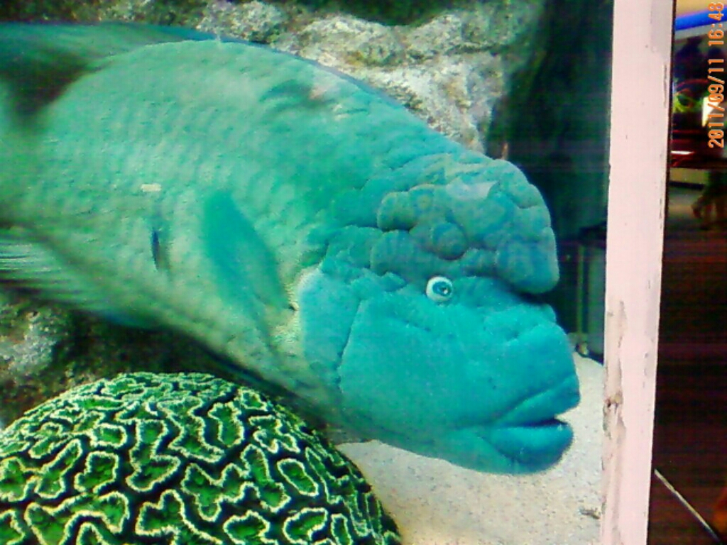 c0189747_17375194.jpg