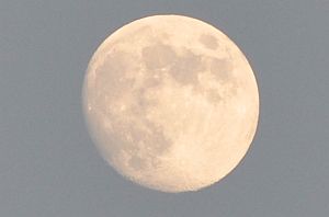 b0163551_16411954.jpg