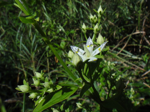 c0179351_18535716.jpg