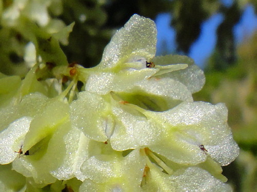 c0179351_18551339.jpg