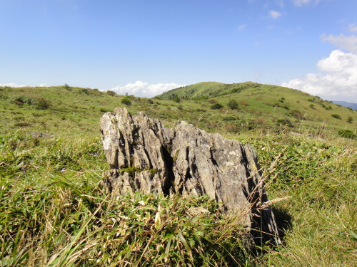 c0179351_19182231.jpg