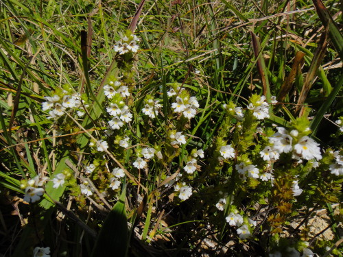 c0179351_1924533.jpg
