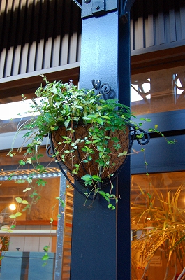 e0025655_5475179.jpg