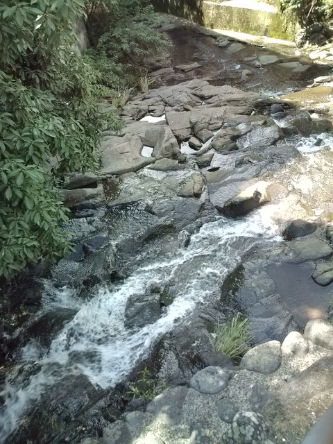 e0116960_1256191.jpg