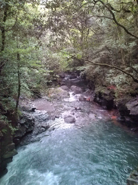 e0116960_12573637.jpg