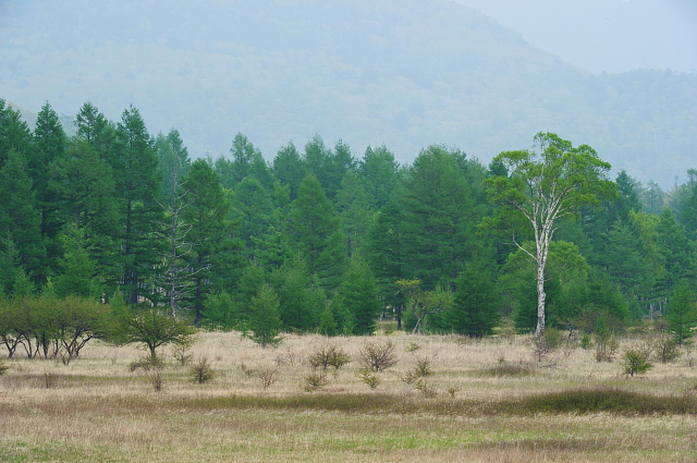 f0222161_13372797.jpg