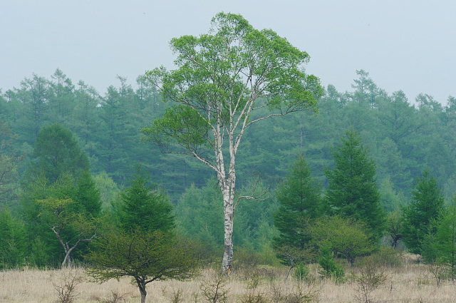 f0222161_13373146.jpg