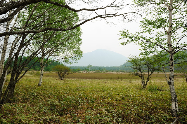f0222161_13374365.jpg