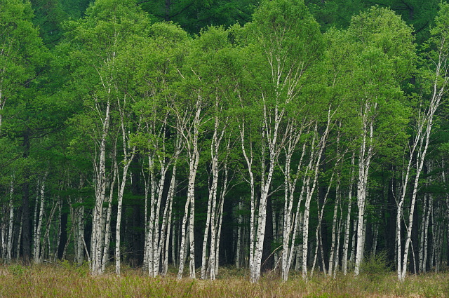 f0222161_13374752.jpg