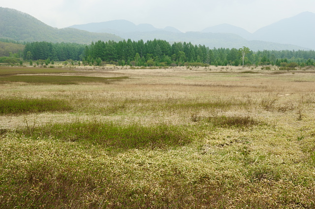 f0222161_1337516.jpg