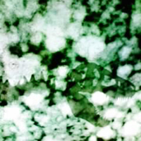 b0215862_0174070.jpg