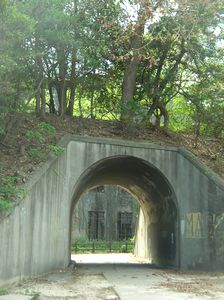 f0131263_039263.jpg