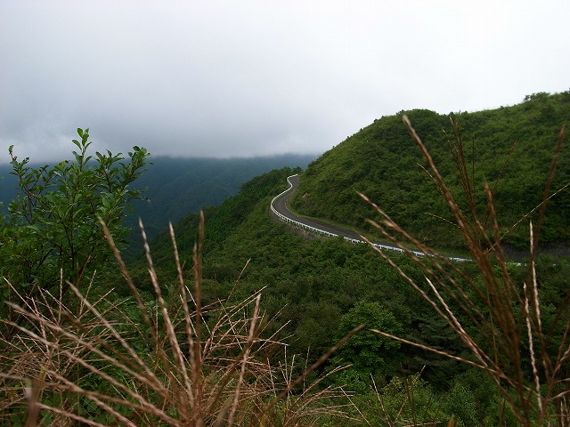 d0128465_8242643.jpg