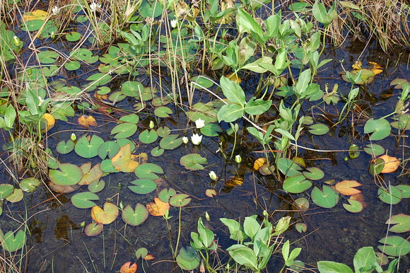 e0120466_1894373.jpg