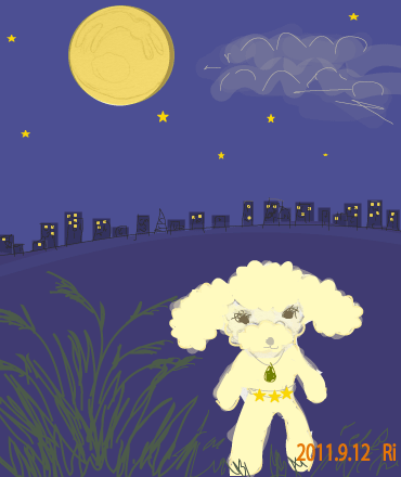 a0211669_042378.gif